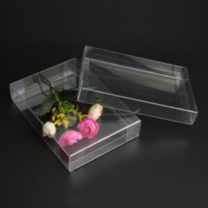 Transparent Packaging Box Customized